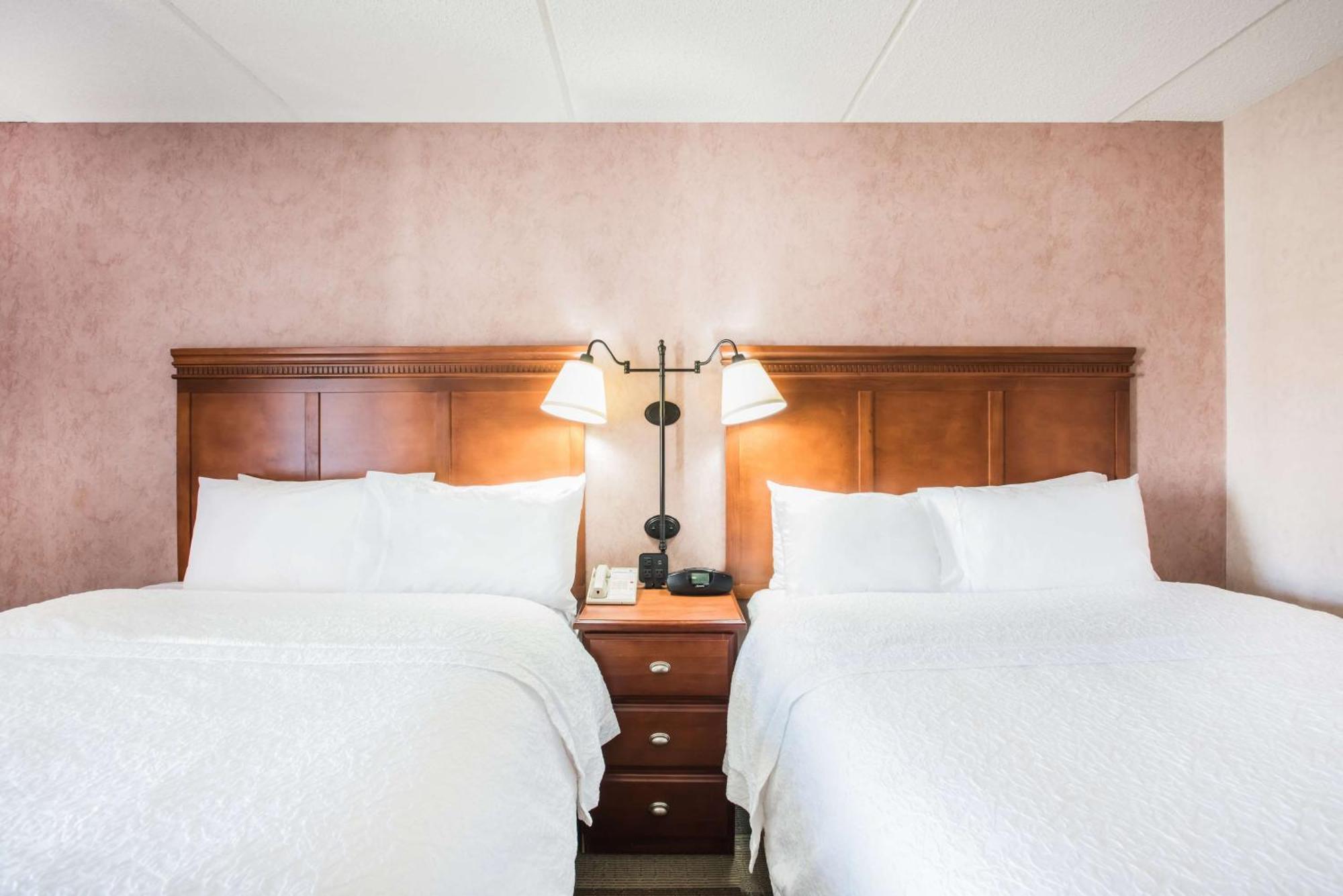 Hampton Inn West Springfield Buitenkant foto